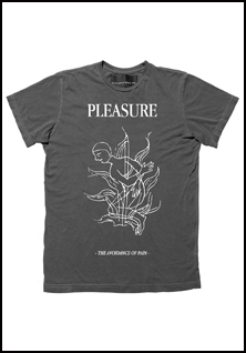 Pleasure